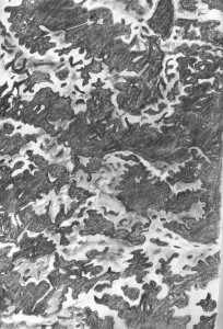 Picea omorica Detaill Bleistift 20x30cm