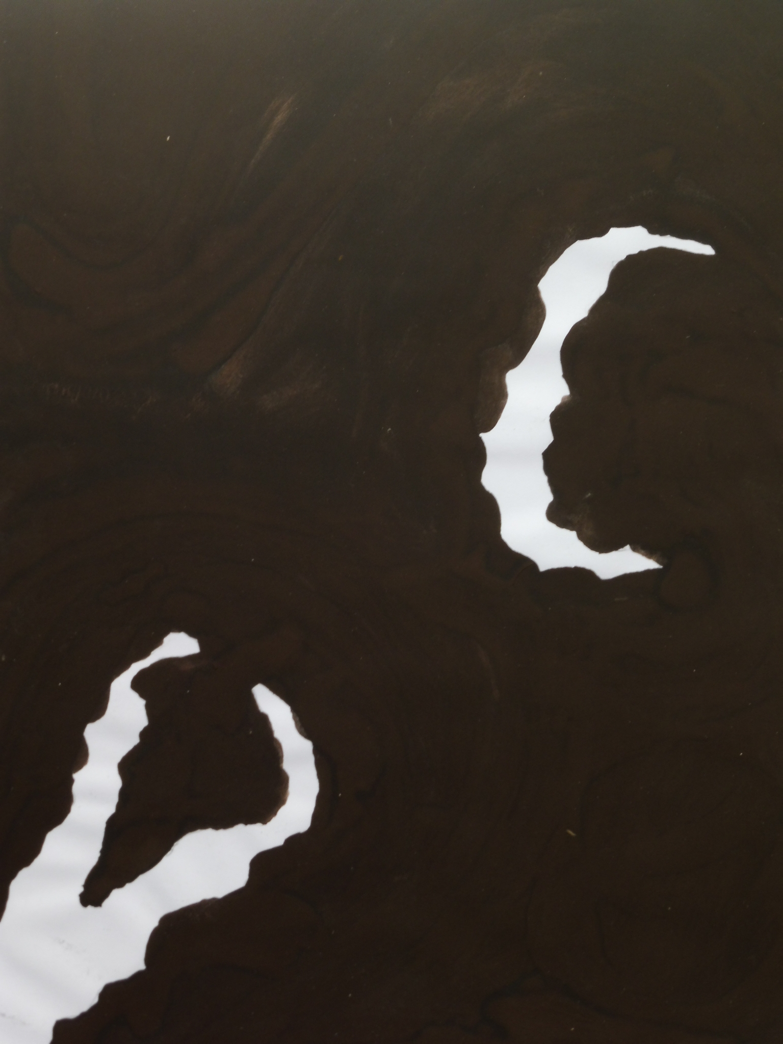 UmbraWeiss03Zwei01 two white structures in dark umbra