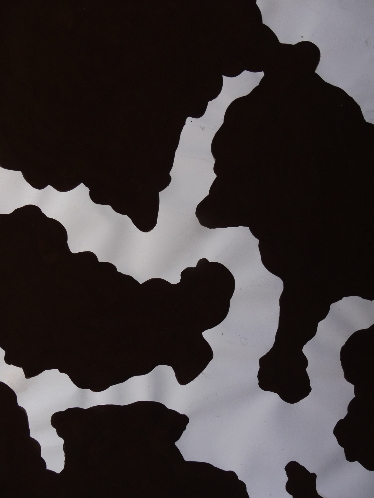 UmbraWeiss04fiftyfifty01 white organic structure surrounded by umbra or umbra surrounded by white. Both interpretations are possible. And this is the point